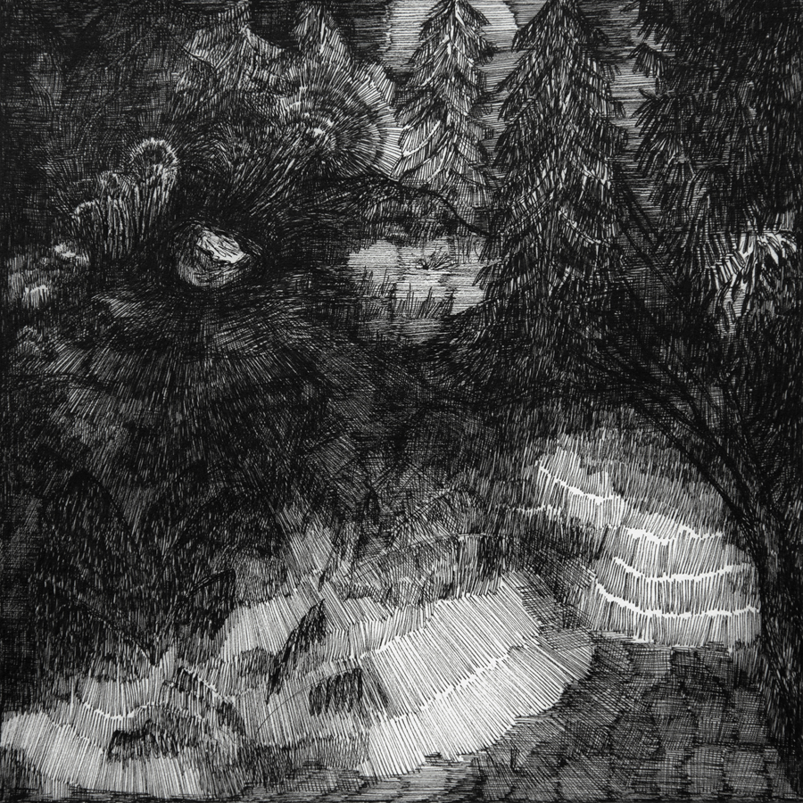 Rozemarijn Westerink - Stone in my garden, pen and ink on paper, 24 x 22 cm, 2020